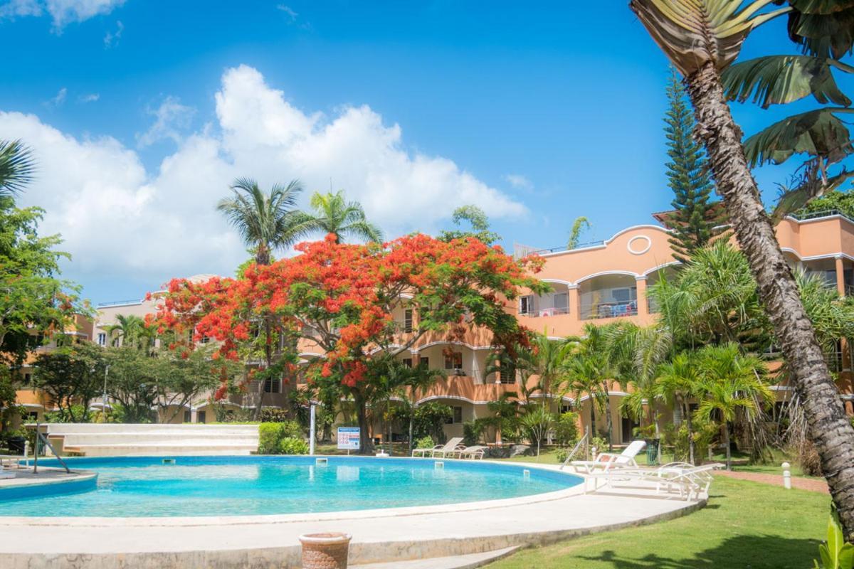 Aparthotel Don Cesar Las Terrenas Exteriér fotografie